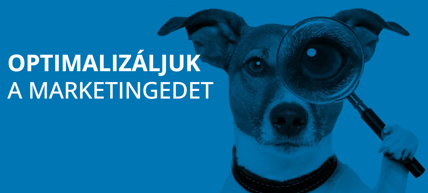 Marketing tanácsadó